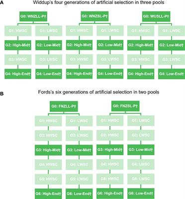 Frontiers | Outlier analyses and genome-wide association study